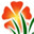 Logo de www.premiumflorist.com.co